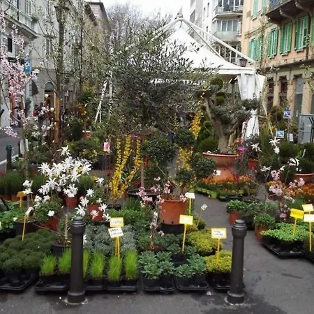 Appartamento El Liston X4 Zona Pedonale In Centro *